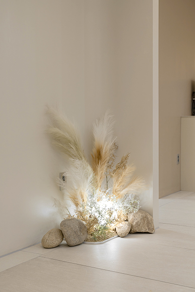 Waiting Room - AllLitingLifting Clinic